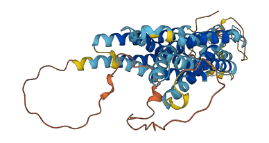 SLC39A8 3D structure