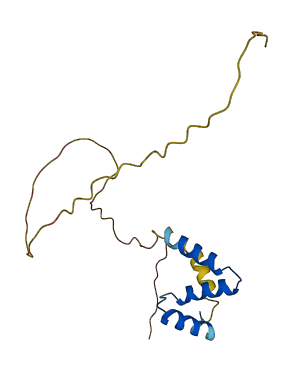 Mzt2 3D structure