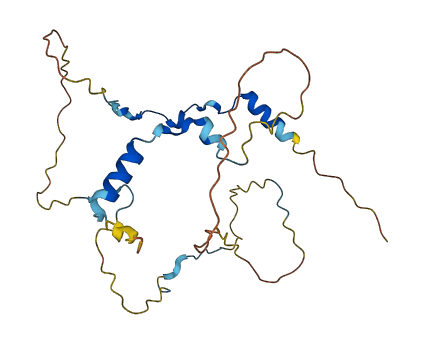 Nwc 3D structure