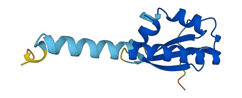 Dppa5a 3D structure