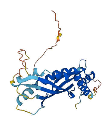 Bpifa5 3D structure