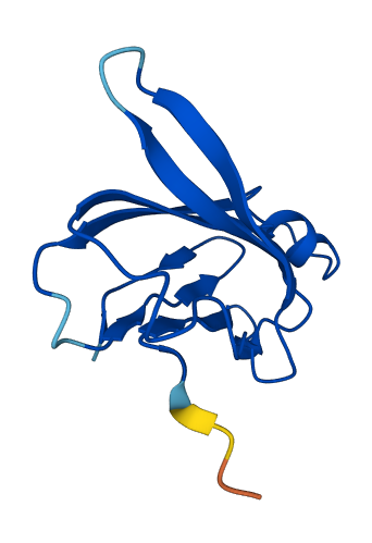 Urah 3D structure