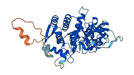 MINDY3 3D structure
