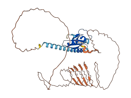 Khdc3 3D structure