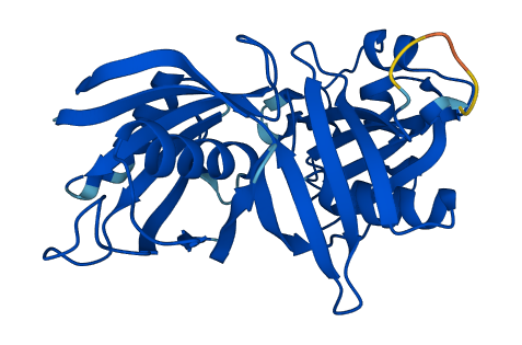 Pbld2 3D structure