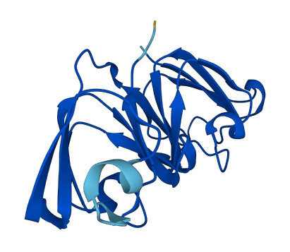 Crygf 3D structure