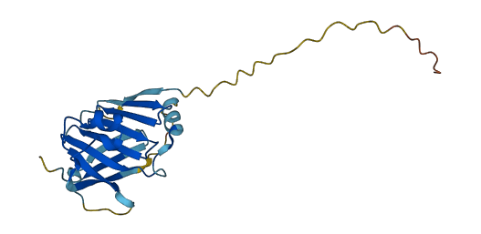 Gkn3 3D structure