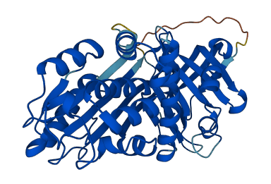 Serpinb1a 3D structure