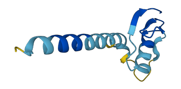 Spink12 3D structure