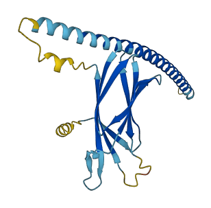 Tmed11 3D structure