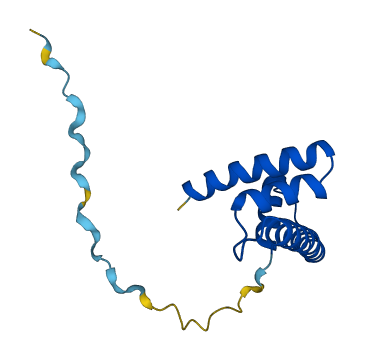 Hist3h2ba 3D structure