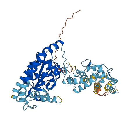 Lpcat2b 3D structure