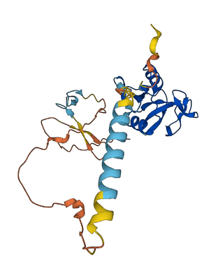 Clec2g 3D structure