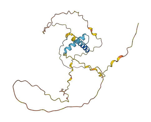 Mapk1ip1 3D structure