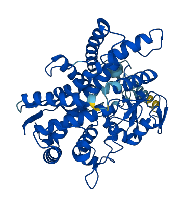 Cyp2c55 3D structure