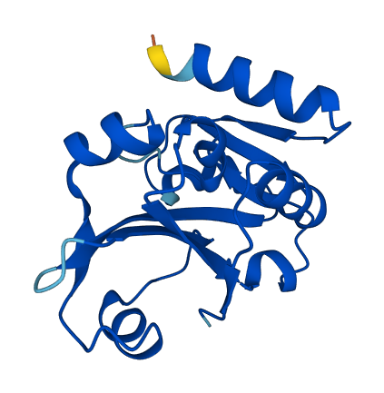 Prorsd1 3D structure