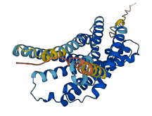 P2yr13 3D structure