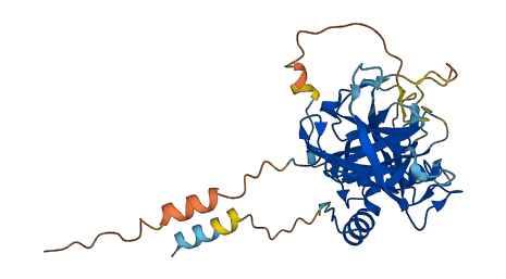 Prss52 3D structure