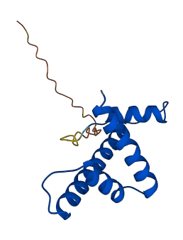 Subh2bv 3D structure