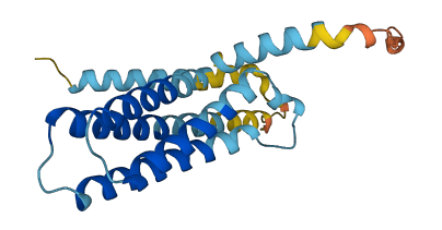 Cmtm2b 3D structure