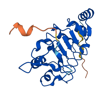 Lrrc51 3D structure