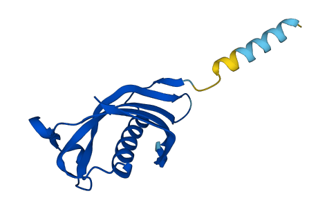 Cst12 3D structure