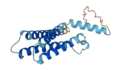 Cmtm2a 3D structure