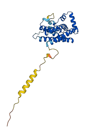 Prl8a8 3D structure
