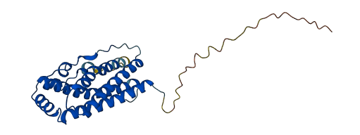 Prl8a6 3D structure