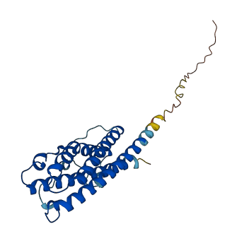 Prl2b1 3D structure