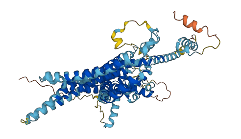 Stra6l 3D structure