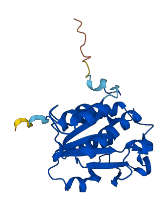 Isoc2b 3D structure