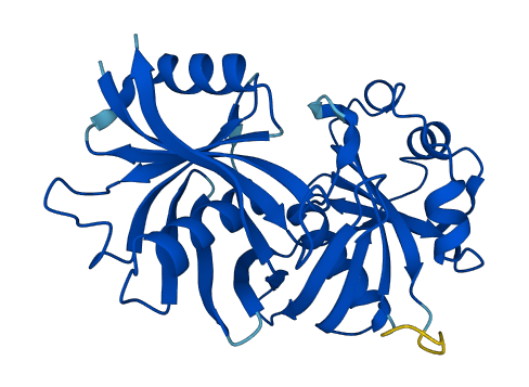 Pbld1 3D structure