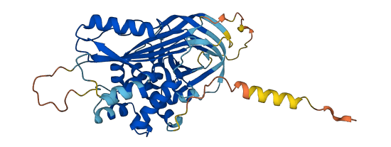 Serpina1f 3D structure