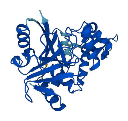 Keg1 3D structure