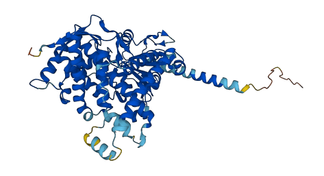 Cyp4f14 3D structure