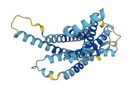 Vmn1r52 3D structure