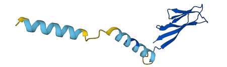 Retnla 3D structure