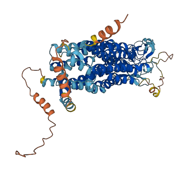 Slco1a4 3D structure