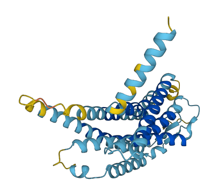 Vmn1r54 3D structure