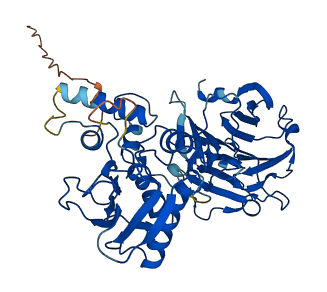 Mmp1a 3D structure