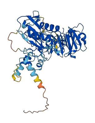 Mmp1b 3D structure
