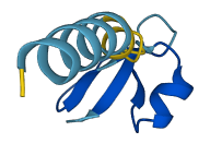 Defb5 3D structure