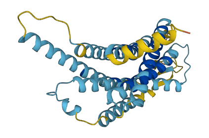 Vmn1r41 3D structure