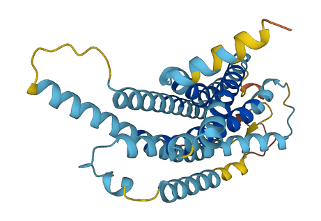 Vmn1r46 3D structure