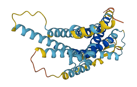 Vmn1r40 3D structure