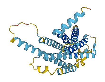 Vmn1r44 3D structure