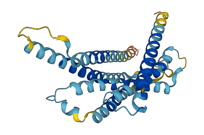 V1ra8 3D structure