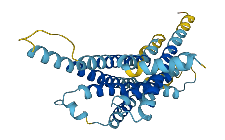 Vmn1r47 3D structure