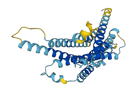 Vmn1r48 3D structure
